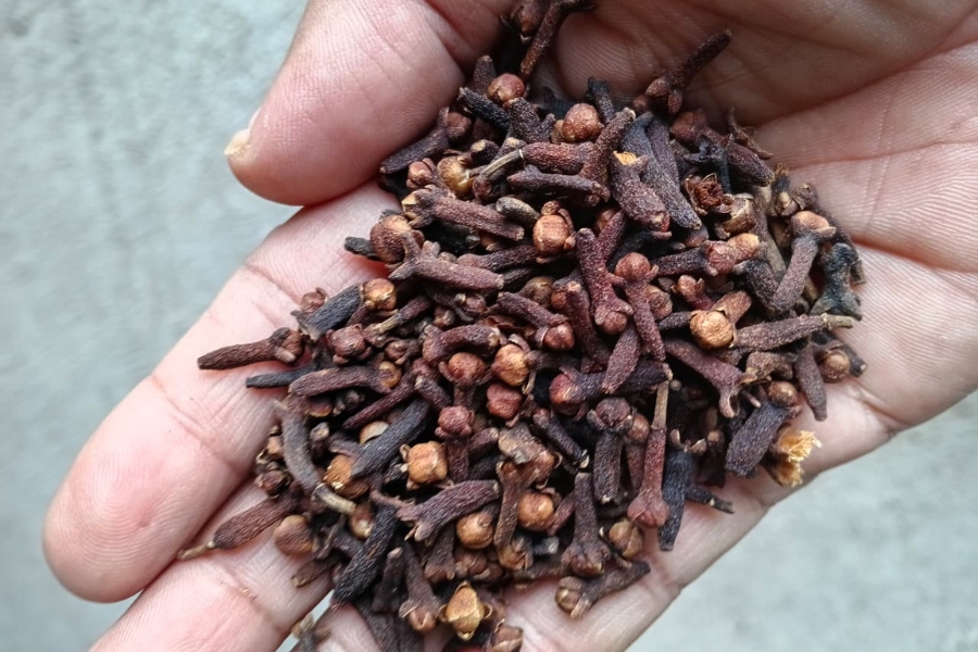 Indonesian Cloves